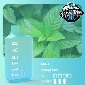 ELF BAR BC5000 & MINT