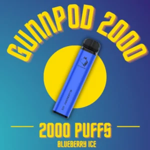 Gunnpod 2000 Blueberry Ice