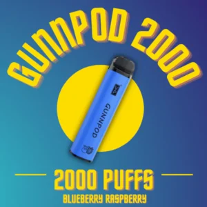 Gunnpod 2000 Blueberry Raspberry