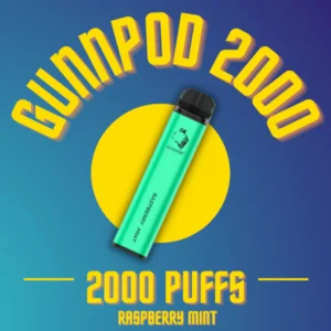 Gunnpod 2000 Raspberry Mint